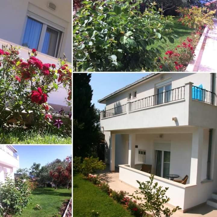 Villa Markic Drvenik  Extérieur photo